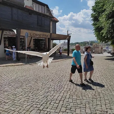 Prestige Private Apartment-studio 46 Sveti Vlas