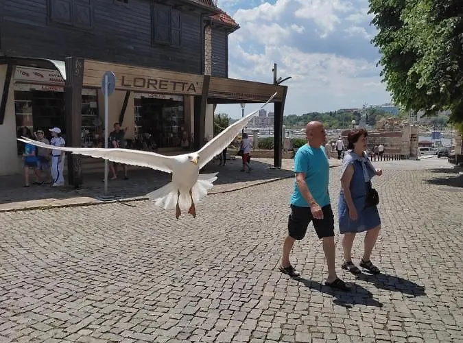 Prestige Private Apartment-studio 46 スヴェティ・ヴラス