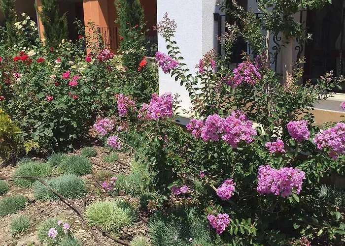 Prestige Private Apartment-studio 46 スヴェティ・ヴラス